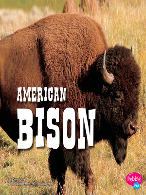 cover image of American Bison